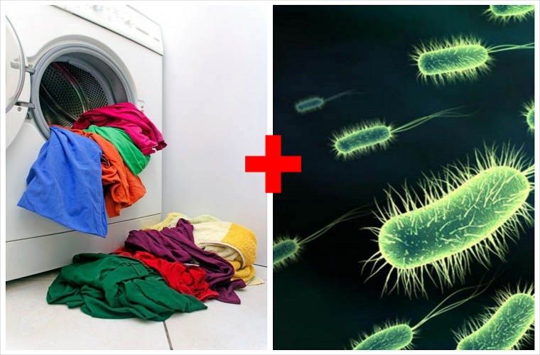Máy giặt là nơi nhiều vi khuẩn nhất